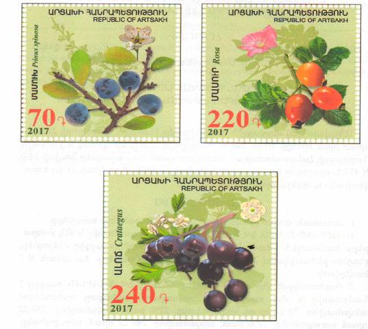 Ներմուծեք նկարագրությունը_2243